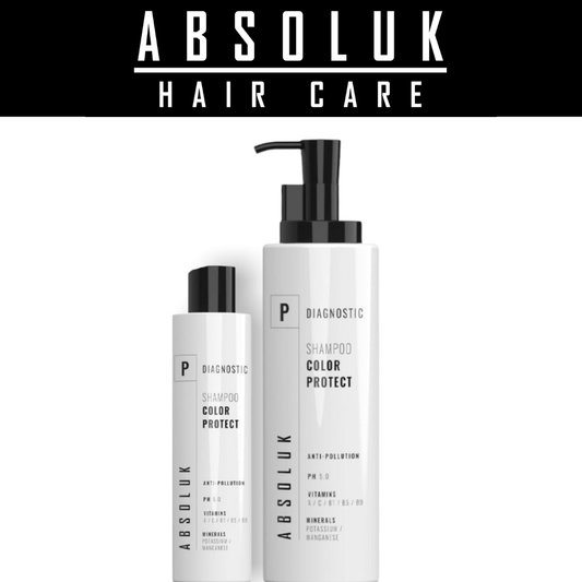 ABSOLUK COLOR PROTECT SHAMPOO 300ML /1000ML color lock